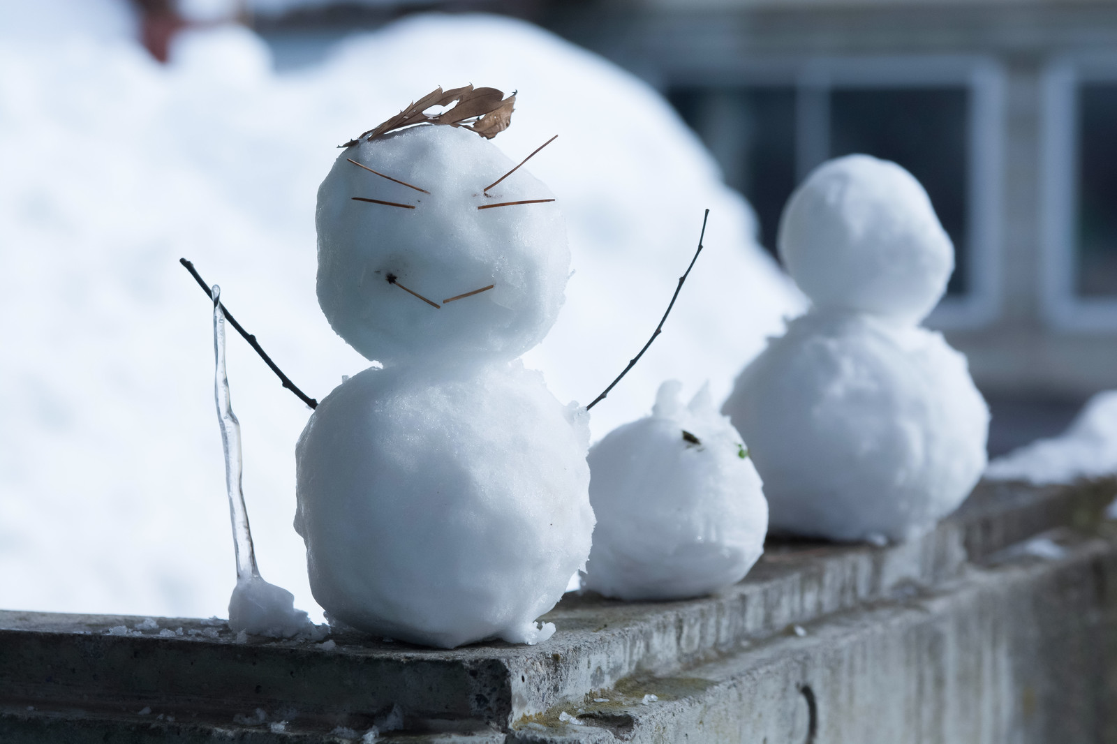 大雪によるキャンセルについて